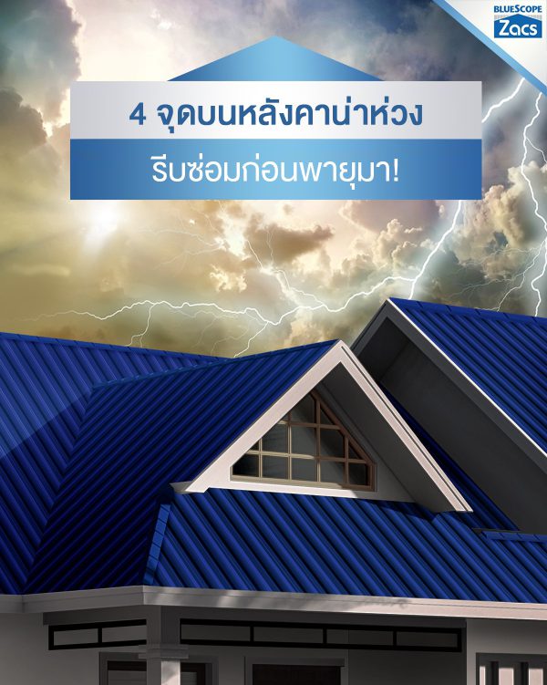 นูโว บลู บลูสโคป แซคส์ (BLUESCOPE ZACS®)