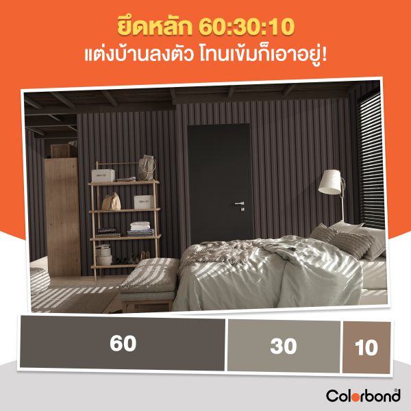 International Brown SRI 40 COLORBOND® Steel